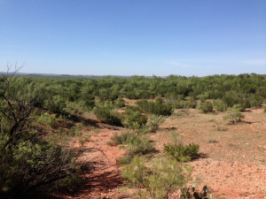 Hwy 158, One mile easement (9)