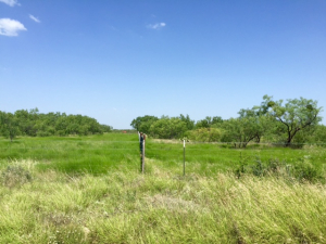 FM 765 (20)