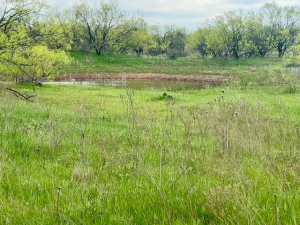 Hwy 36 (26)