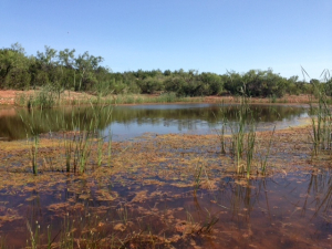 Hwy 158, One mile easement (25)