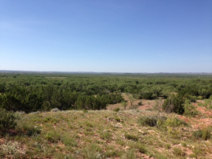 Hwy 158, One mile easement (34)