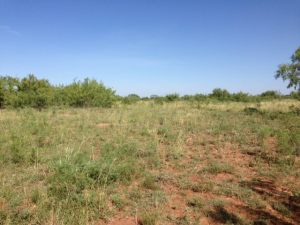 Hwy 158, One mile easement (10)
