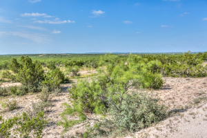 11935 Little Sorrel Trail (7)
