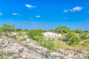 11935 Little Sorrel Trail (8)