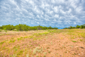 583 Cox Road (5)