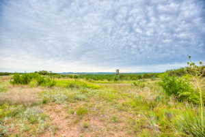 583 Cox Road (7)