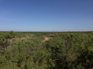 Hwy 158, One mile easement (26)
