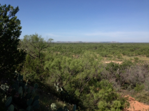 Hwy 158, One mile easement (35)