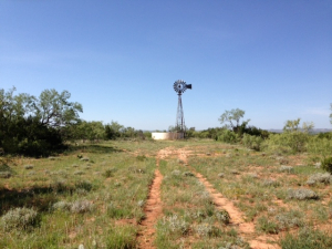 Hwy 158, One mile easement (11)