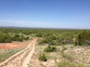 Hwy 158, One mile easement (19)