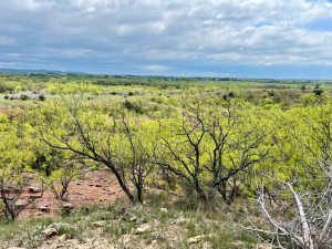 Hwy 36 (35)