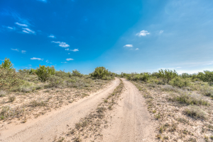 11935 Little Sorrel Trail (9)