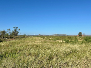 350 Matapeak Rd (4)