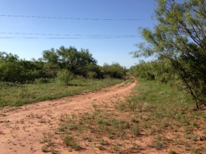 Hwy 158, One mile easement (28)