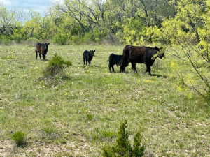 Hwy 36 (41)