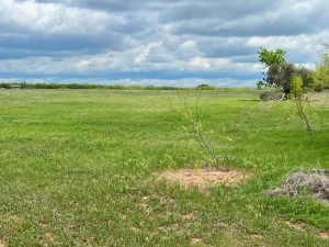 Hwy 36 (45)