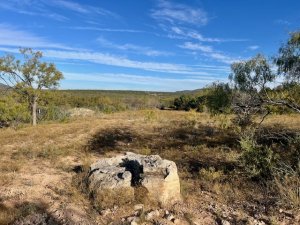 Bird Ln (4)