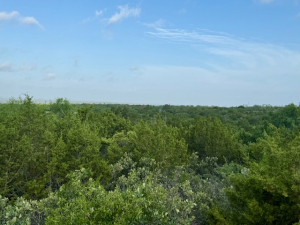Gas Plant Rd (5)