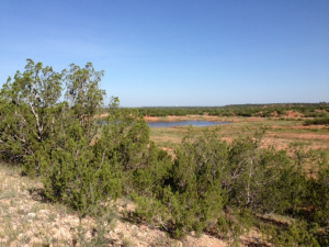 Hwy 158, One mile easement (4)
