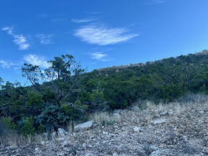 Bird Ln (5)