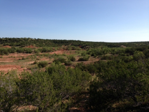 Hwy 158, One mile easement (13)