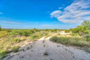 11935 Little Sorrel Trail (15)