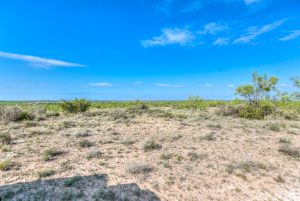 11935 Little Sorrel Trail (27)
