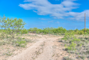 11935 Little Sorrel Trail (28)