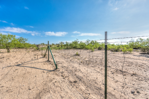 11935 Little Sorrel Trail (30)