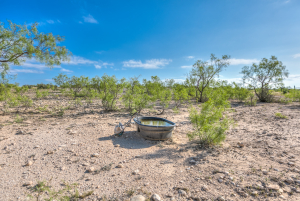 11935 Little Sorrel Trail (31)