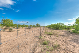 11935 Little Sorrel Trail (32)