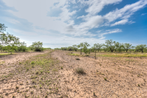 11935 Little Sorrel Trail (33)