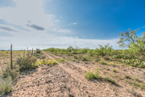 11935 Little Sorrel Trail (34)