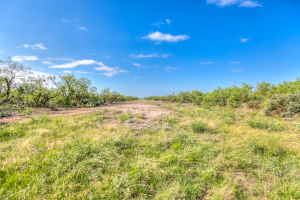 11935 Little Sorrel Trail (36)
