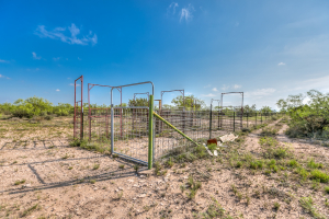 11935 Little Sorrel Trail (37)
