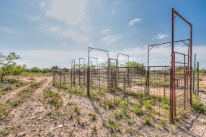 11935 Little Sorrel Trail (38)