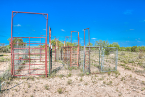 11935 Little Sorrel Trail (39)