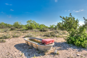 11935 Little Sorrel Trail (40)