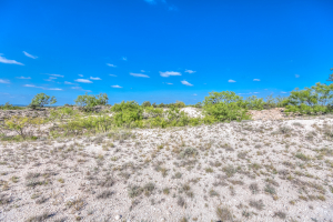 11935 Little Sorrel Trail (42)