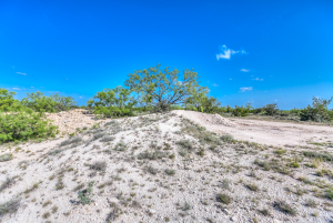 11935 Little Sorrel Trail (43)
