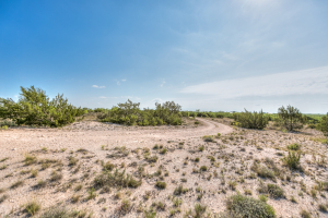 11935 Little Sorrel Trail (44)
