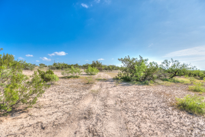 11935 Little Sorrel Trail (45)