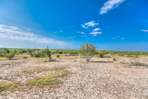 11935 Little Sorrel Trail (47)