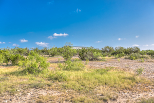 11935 Little Sorrel Trail (48)