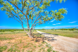 505 Sand Ln (41)