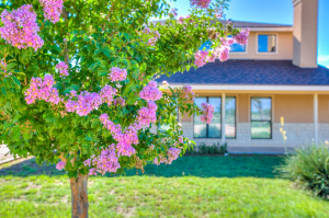 505 Sand Ln (42)