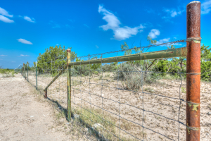11935 Little Sorrel Trail (51)