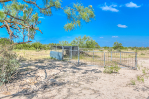 11935 Little Sorrel Trail (52)
