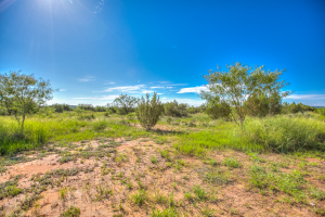 505 Sand Ln (44)