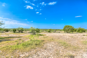 11935 Little Sorrel Trail (54)